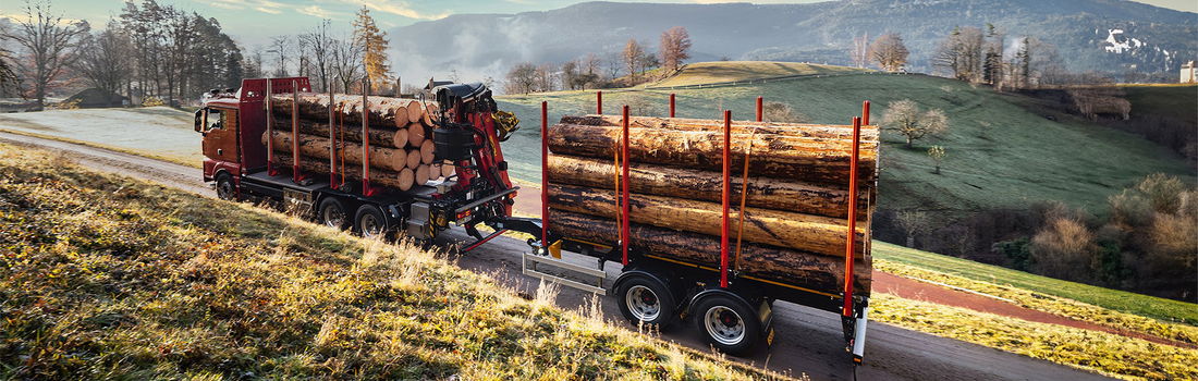 LKW mit Zentralachsanhänger von DOLL fährt im Morgengrauen über eine schmale Landstraße zwischen Wiesen und Feldern