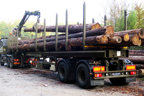 DOLL Defence Sattelaufleiger für leichtes Gelände beladen mit Baumstämmen